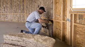 Best Eco-Friendly Insulation Solutions  in USA